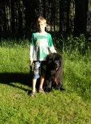 Превью фото № 186749