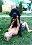 Превью фото № 186777