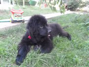 Превью фото № 186779