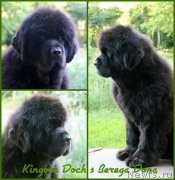 Превью фото № 186806