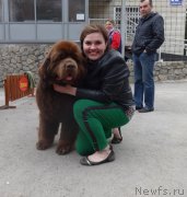 Превью фото № 186865