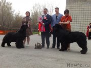 Превью фото № 186866