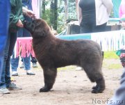 Превью фото № 186869