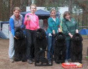 Превью фото № 186875