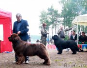 Превью фото № 186880