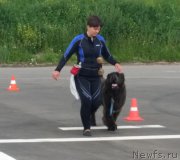 Превью фото № 186910