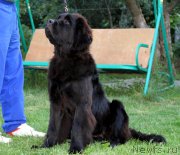 Превью фото № 187010