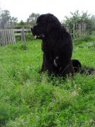 Превью фото № 187037