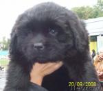 Превью фото № 18706