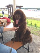 Превью фото № 187109