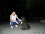 Превью фото № 187221