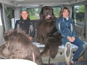 Превью фото № 187237