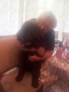 Превью фото № 187297