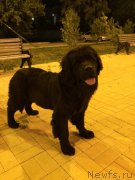 Превью фото № 187301