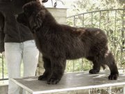 Превью фото № 187360