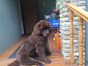 Превью фото № 187390