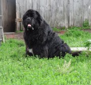 Превью фото № 187425