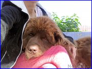 Превью фото № 187437