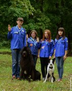 Превью фото № 187522