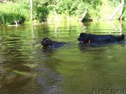 Превью фото № 187532