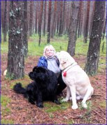 Превью фото № 187533