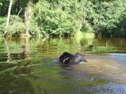 Превью фото № 187534