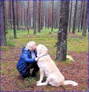 Превью фото № 187535