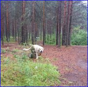 Превью фото № 187539