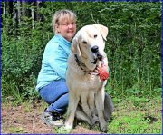 Превью фото № 187542