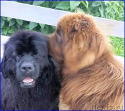 Превью фото № 187581