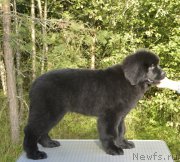 Превью фото № 187614