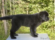 Превью фото № 187615