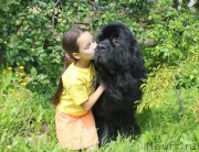 Превью фото № 187633