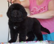 Превью фото № 187635