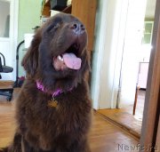 Превью фото № 187646