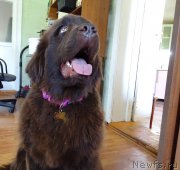 Превью фото № 187647