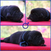 Превью фото № 187678