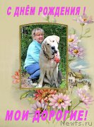 Превью фото № 187683