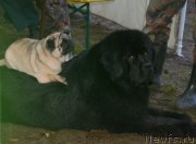 Превью фото № 187718