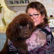 Превью фото № 187742