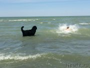 Превью фото № 187774