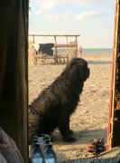 Превью фото № 187782