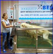 Превью фото № 187810