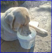 Превью фото № 187824