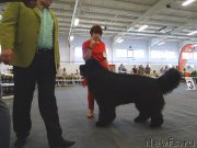 Превью фото № 188007