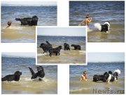 Превью фото № 188120