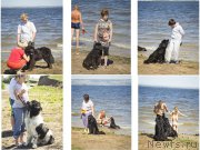 Превью фото № 188190