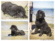 Превью фото № 188194