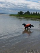 Превью фото № 188207