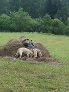 Превью фото № 188213